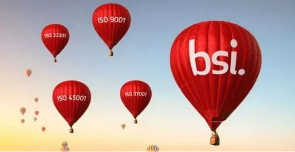 中国企业标准国家化路径.jpg 中国企业标准国家化路径.jpg